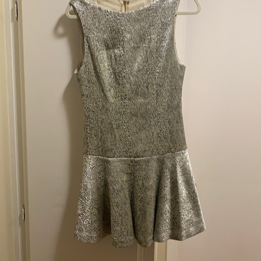 Alice and Olivia silver dress